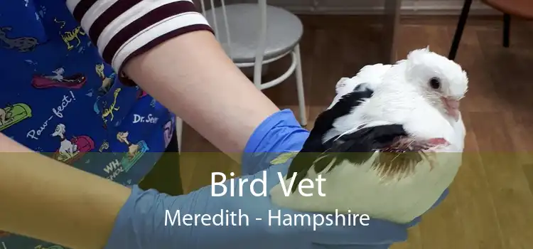 Bird Vet Meredith - Hampshire