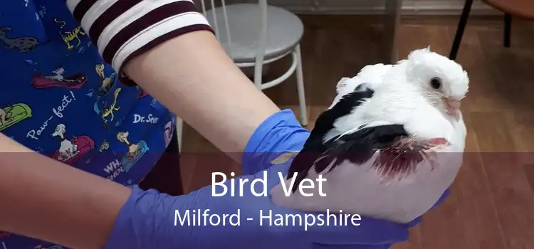 Bird Vet Milford - Hampshire