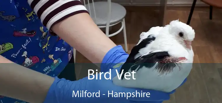 Bird Vet Milford - Hampshire