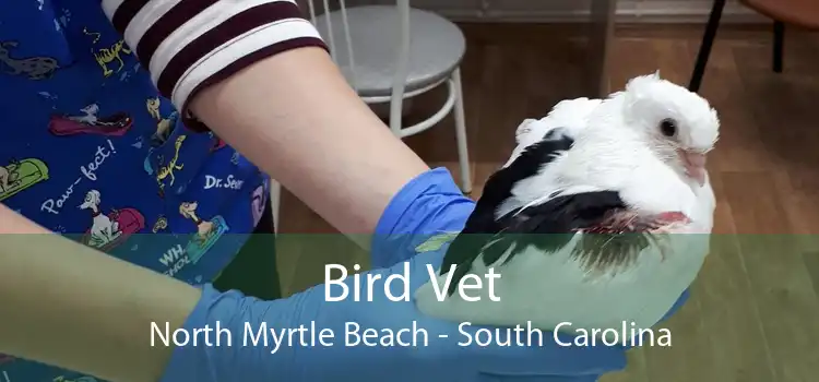 Bird Vet North Myrtle Beach - South Carolina