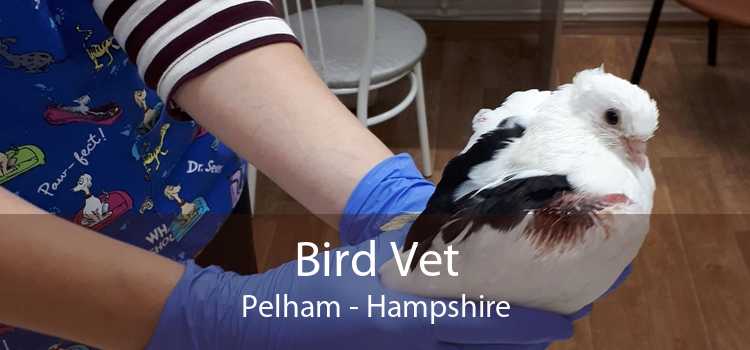 Bird Vet Pelham - Hampshire