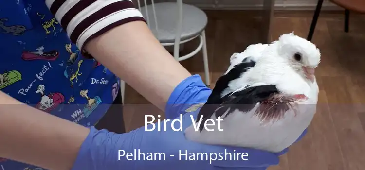 Bird Vet Pelham - Hampshire