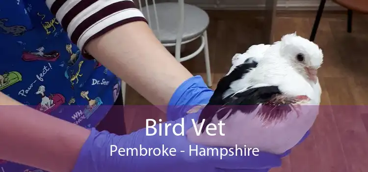 Bird Vet Pembroke - Hampshire