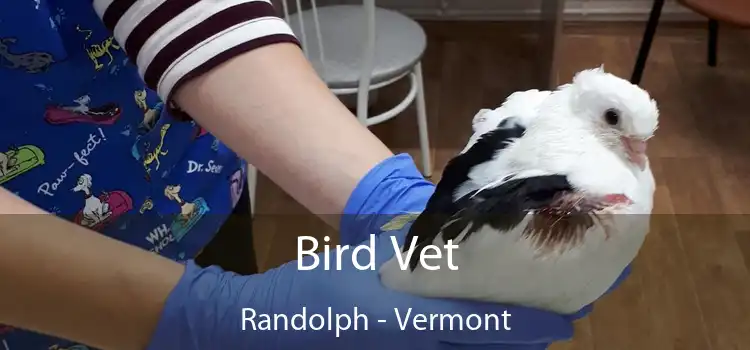 Bird Vet Randolph - Vermont