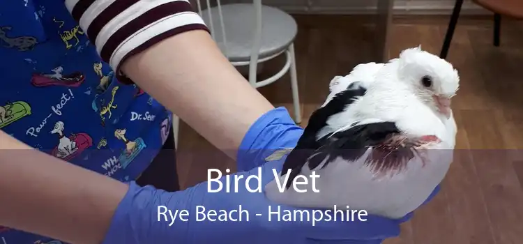 Bird Vet Rye Beach - Hampshire