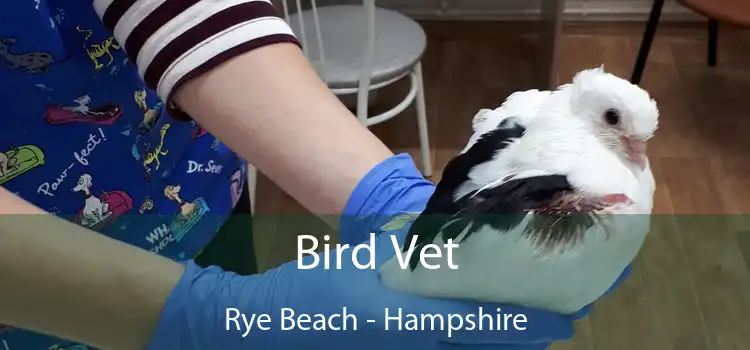 Bird Vet Rye Beach - Hampshire