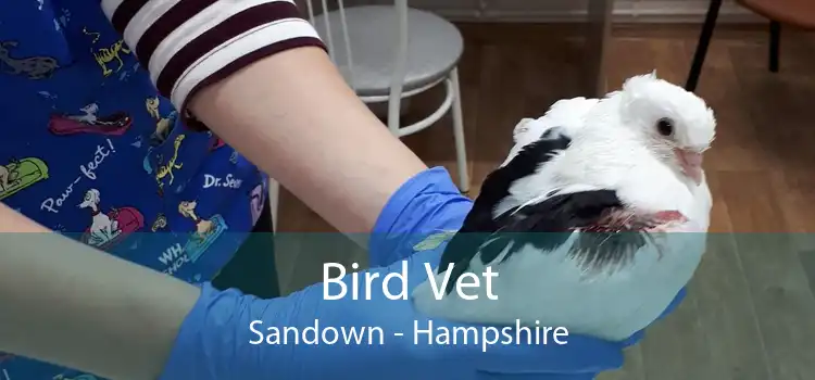 Bird Vet Sandown - Hampshire