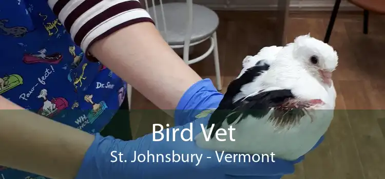 Bird Vet St. Johnsbury - Vermont