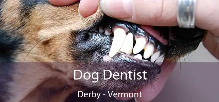 Dog Dentist Derby - Vermont