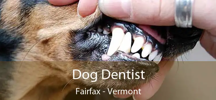 Dog Dentist Fairfax - Vermont