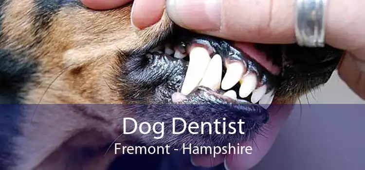 Dog Dentist Fremont - Hampshire