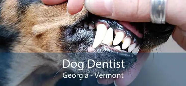 Dog Dentist Georgia - Vermont