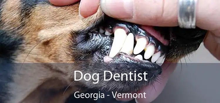 Dog Dentist Georgia - Vermont