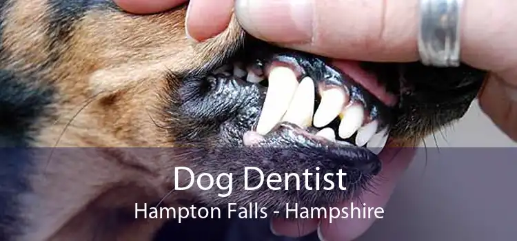 Dog Dentist Hampton Falls - Hampshire