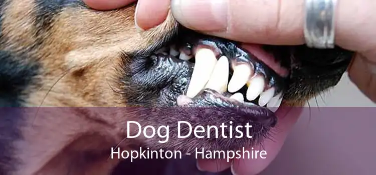 Dog Dentist Hopkinton - Hampshire