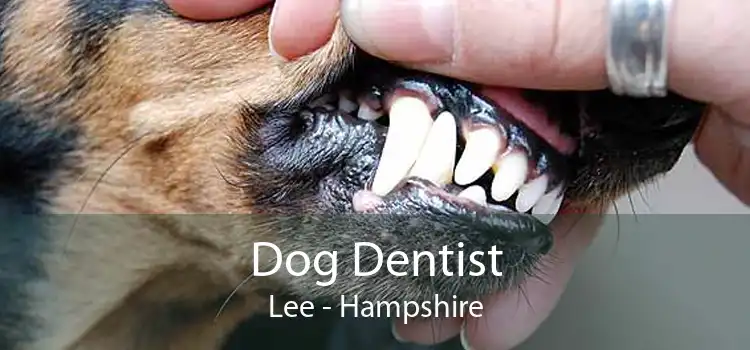 Dog Dentist Lee - Hampshire