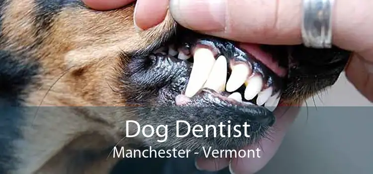 Dog Dentist Manchester - Vermont