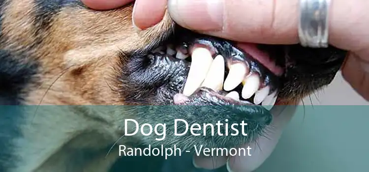Dog Dentist Randolph - Vermont