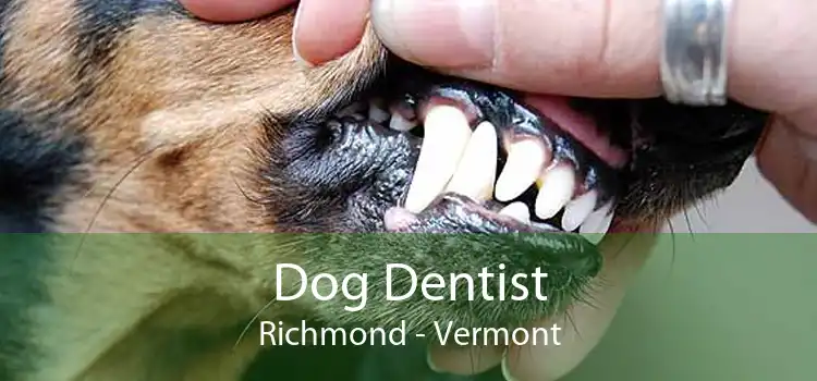 Dog Dentist Richmond - Vermont