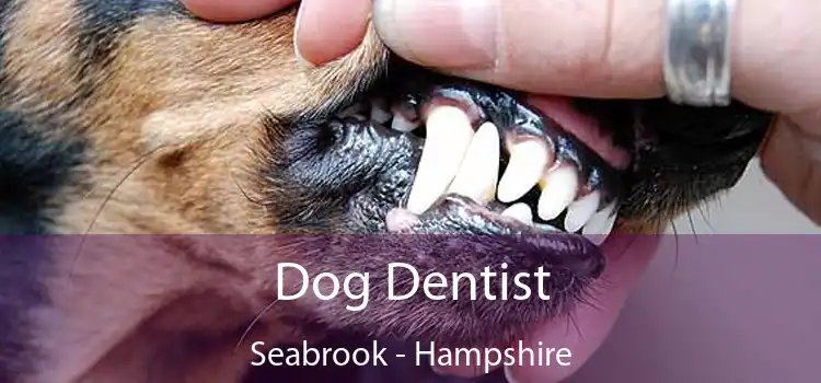 Dog Dentist Seabrook - Hampshire