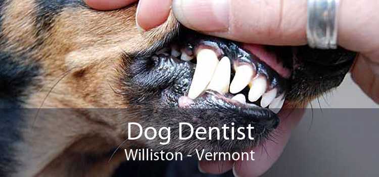 Dog Dentist Williston - Vermont