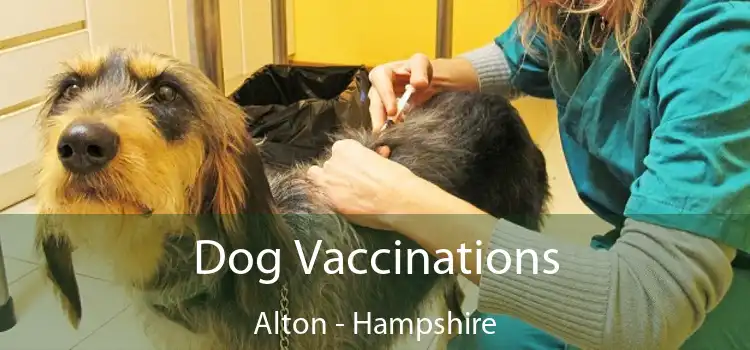 Dog Vaccinations Alton - Hampshire