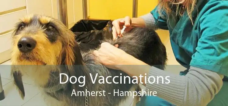 Dog Vaccinations Amherst - Hampshire