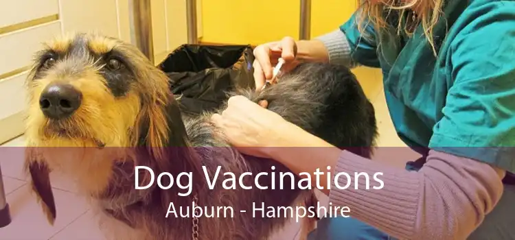 Dog Vaccinations Auburn - Hampshire