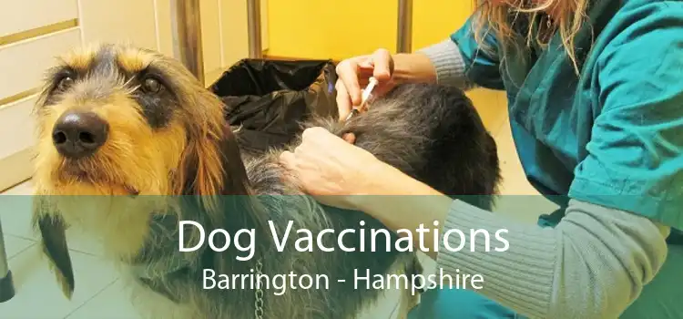 Dog Vaccinations Barrington - Hampshire
