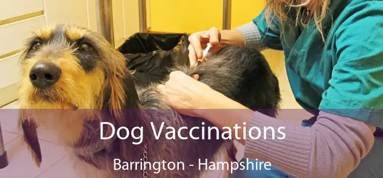 Dog Vaccinations Barrington - Hampshire