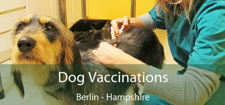 Dog Vaccinations Berlin - Hampshire