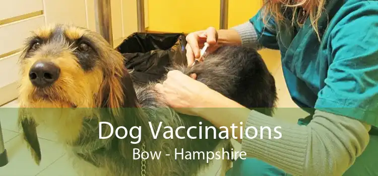 Dog Vaccinations Bow - Hampshire