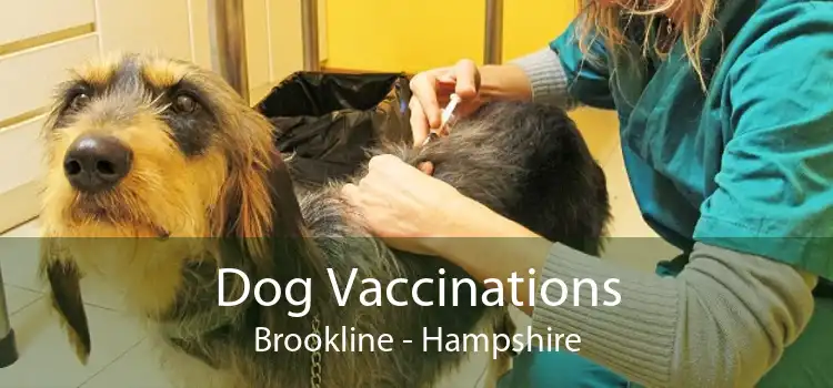 Dog Vaccinations Brookline - Hampshire