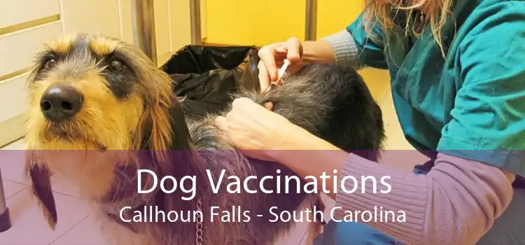Dog Vaccinations Callhoun Falls - South Carolina