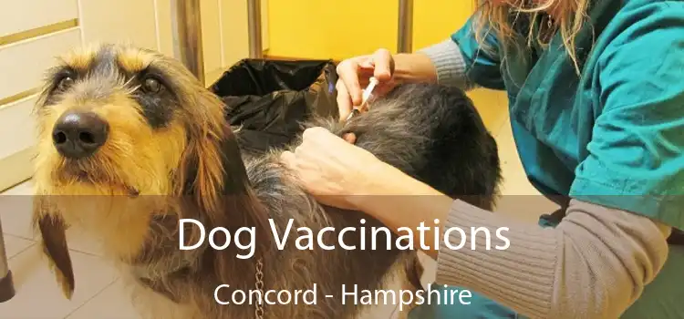 Dog Vaccinations Concord - Hampshire