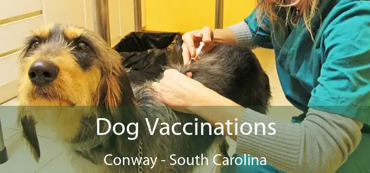 Dog Vaccinations Conway - South Carolina