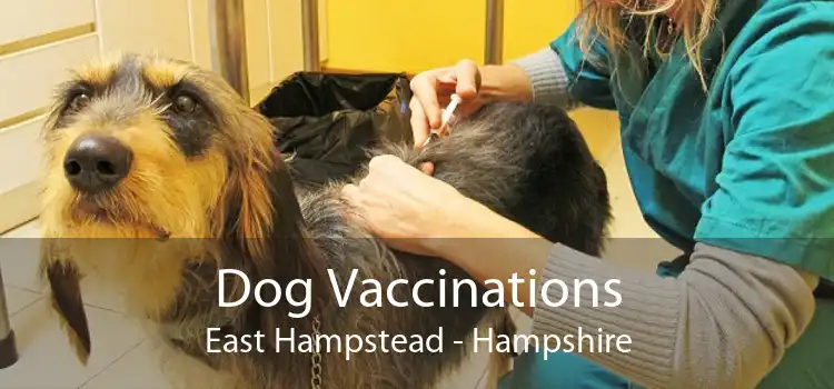 Dog Vaccinations East Hampstead - Hampshire
