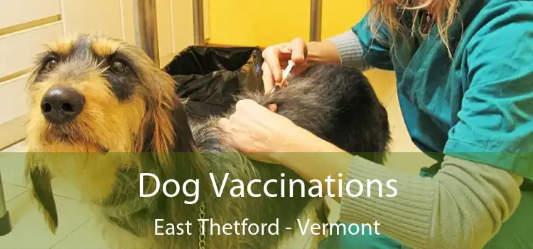 Dog Vaccinations East Thetford - Vermont