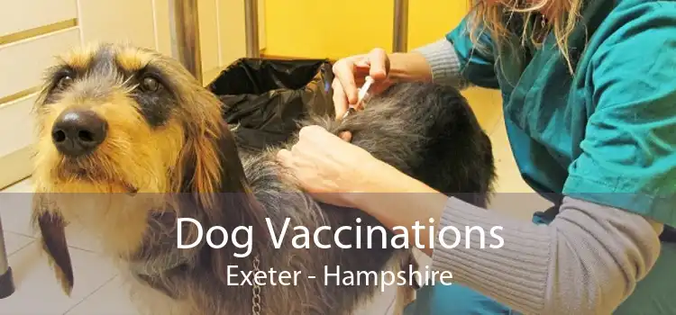 Dog Vaccinations Exeter - Hampshire