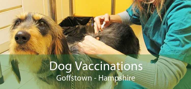 Dog Vaccinations Goffstown - Hampshire