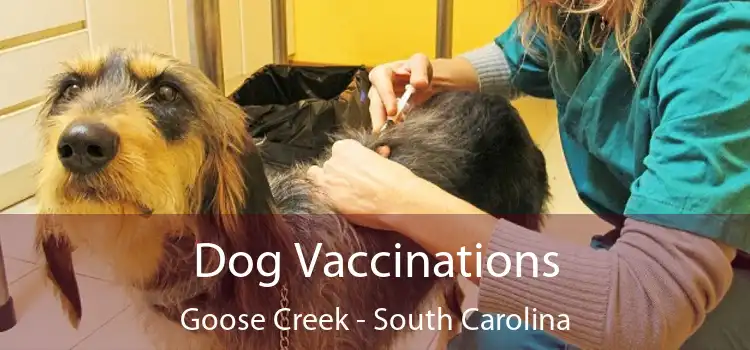 Dog Vaccinations Goose Creek - South Carolina