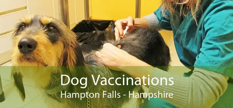 Dog Vaccinations Hampton Falls - Hampshire