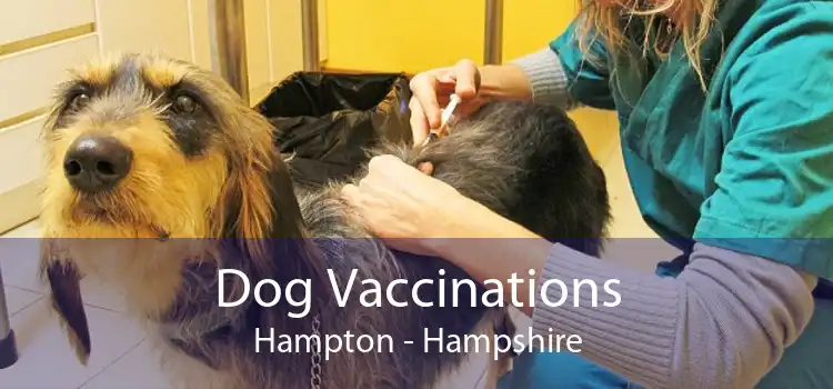 Dog Vaccinations Hampton - Hampshire