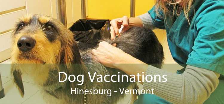 Dog Vaccinations Hinesburg - Vermont