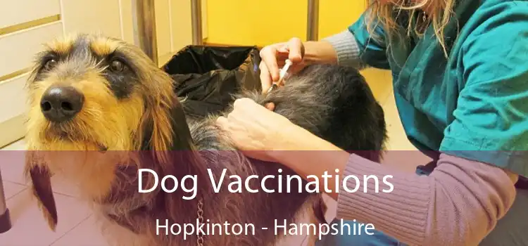 Dog Vaccinations Hopkinton - Hampshire