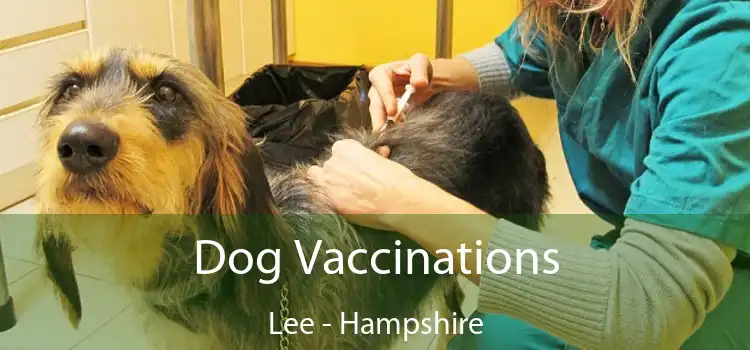 Dog Vaccinations Lee - Hampshire