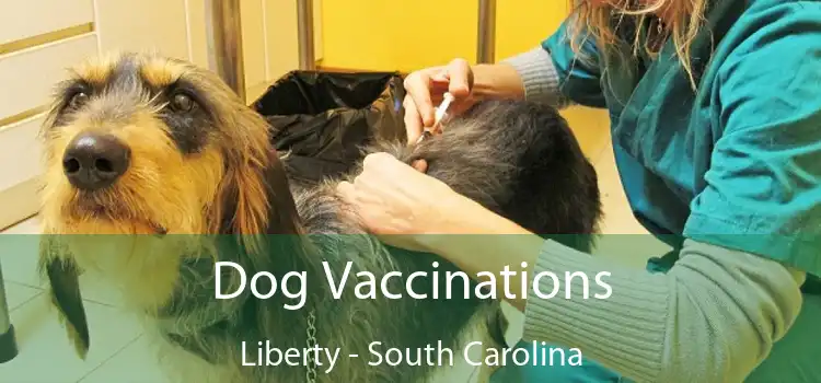 Dog Vaccinations Liberty - South Carolina