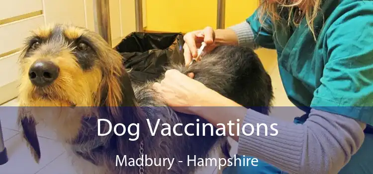 Dog Vaccinations Madbury - Hampshire