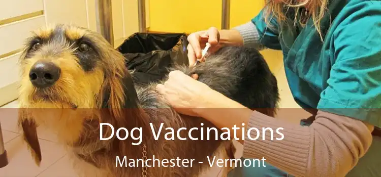 Dog Vaccinations Manchester - Vermont