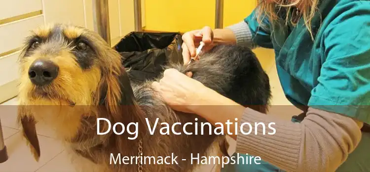 Dog Vaccinations Merrimack - Hampshire